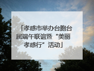 孝感市举办台胞台属端午联谊暨“美丽孝感行”活动